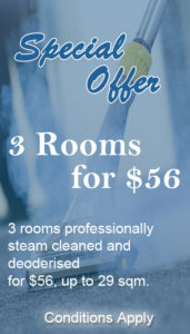 Carpet Cleaning South